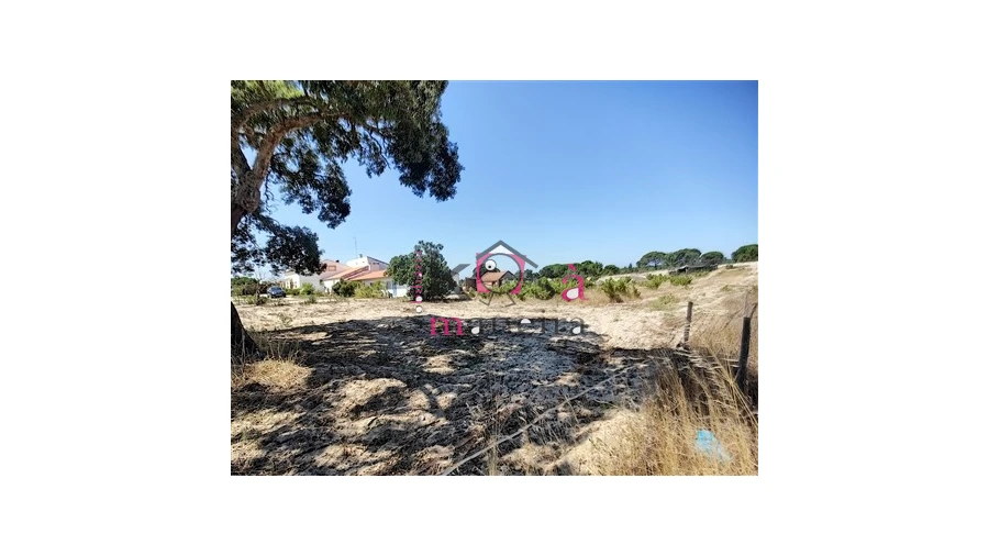 Quinta T3 para Venda em Melides Foto 7