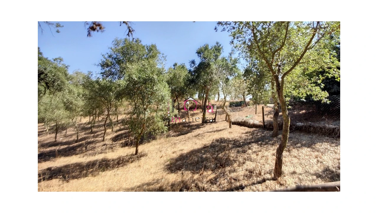 Quinta T2 para Venda em Melides Foto 18