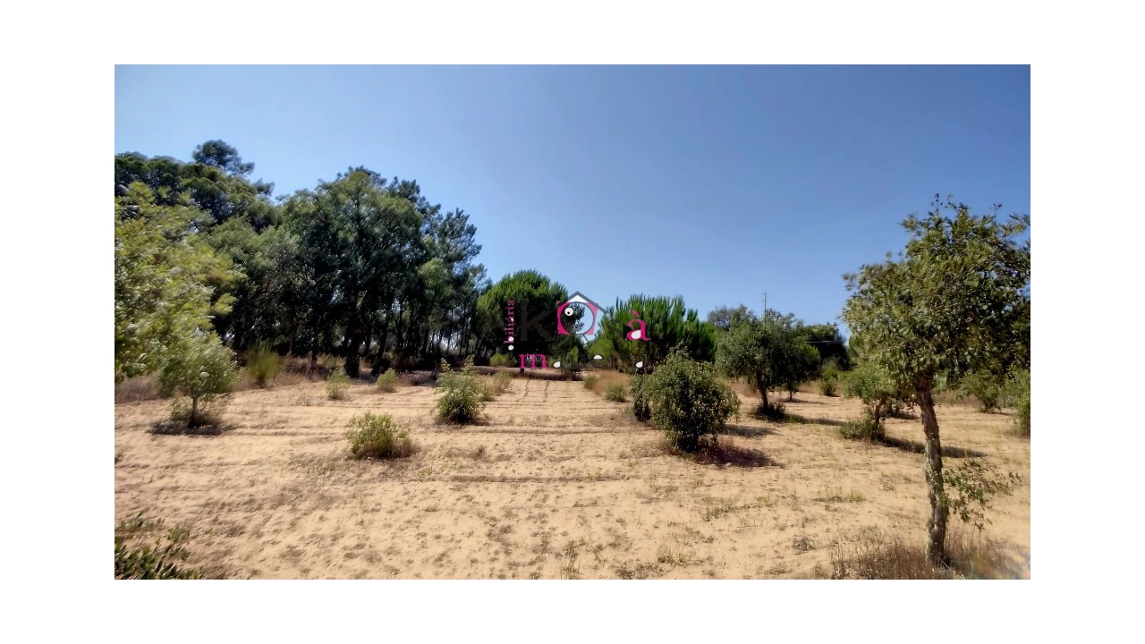 Quinta T2 para Venda em Melides Foto 31