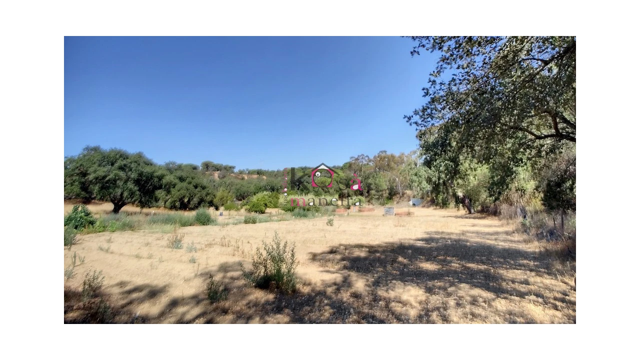 Quinta T2 para Venda em Melides Foto 20