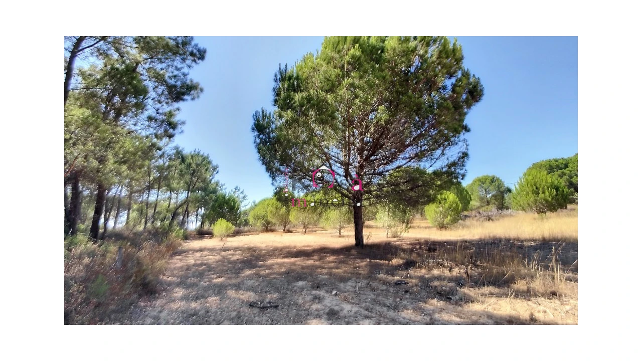 Quinta T2 para Venda em Melides Foto 32