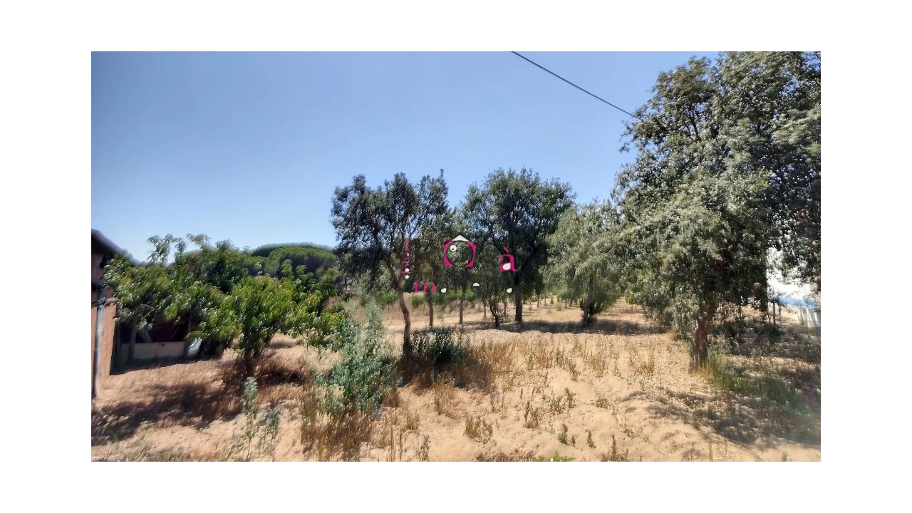 Quinta T2 para Venda em Melides Foto 29