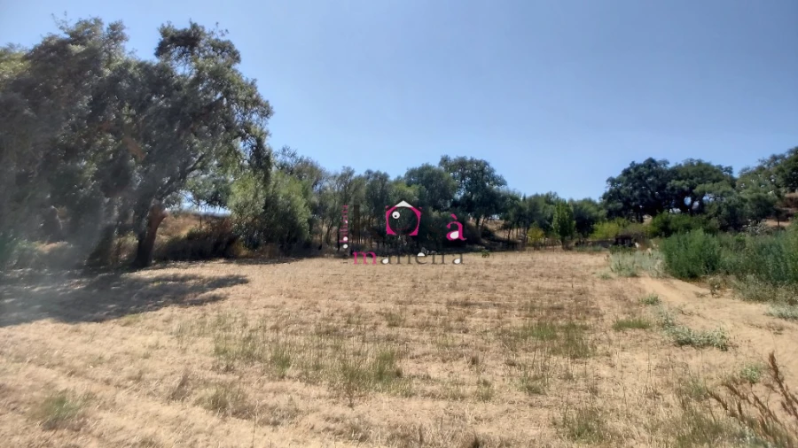 Quinta T2 para Venda em Melides Foto 26