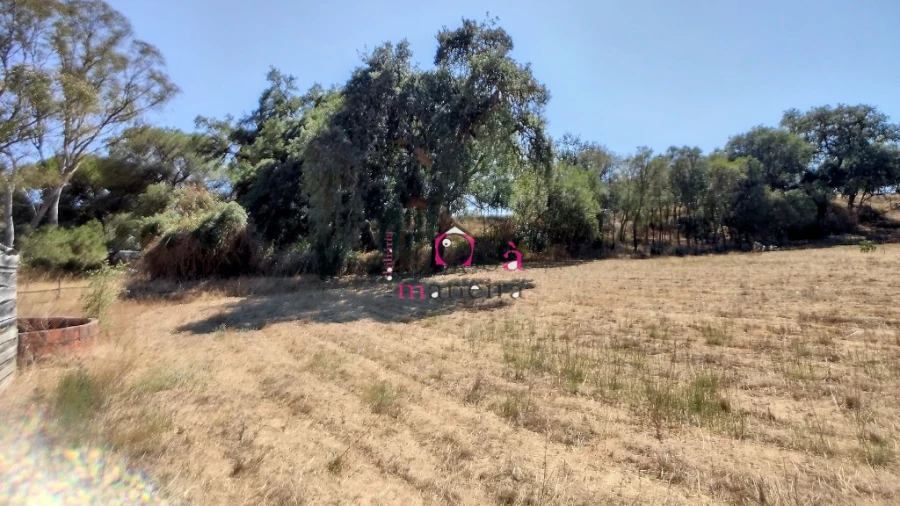 Quinta T2 para Venda em Melides Foto 24