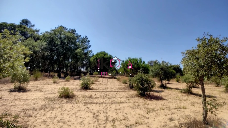 Quinta T2 para Venda em Melides Foto 31