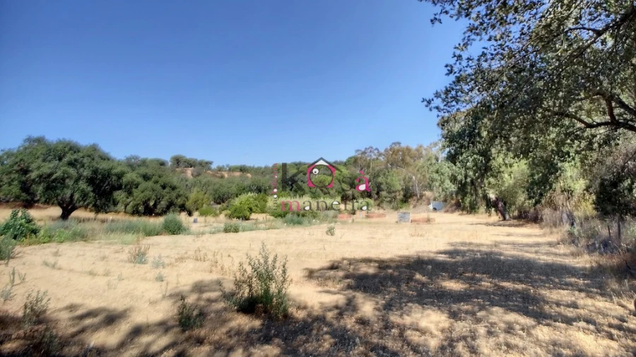 Quinta T2 para Venda em Melides Foto 20