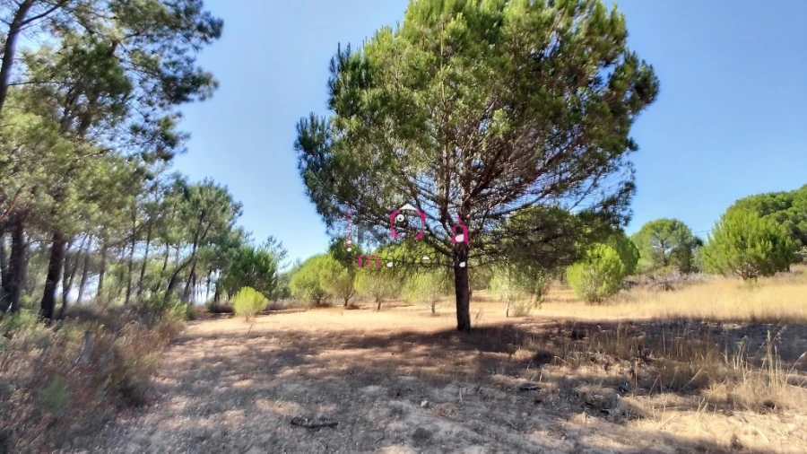 Quinta T2 para Venda em Melides Foto 32