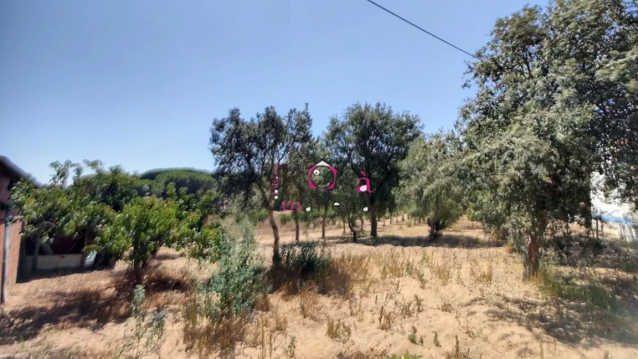 Quinta T2 para Venda em Melides Foto 29