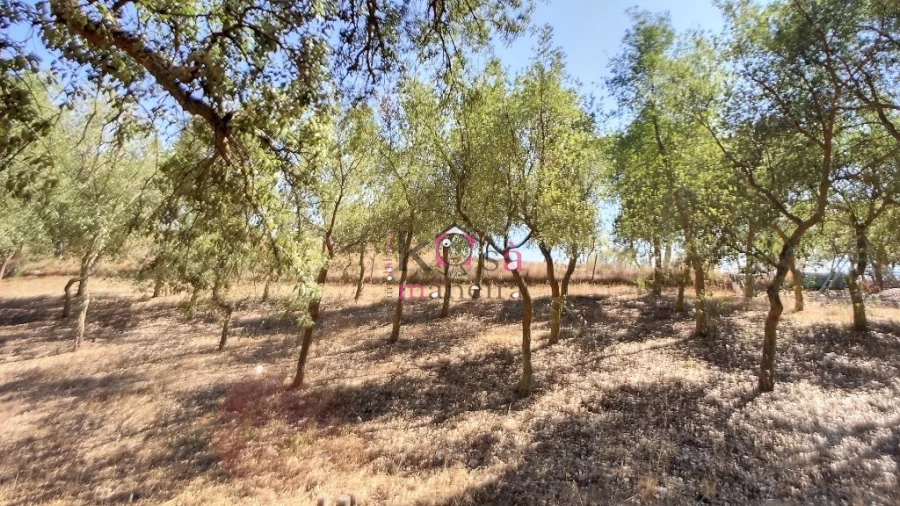 Quinta T2 para Venda em Melides Foto 19