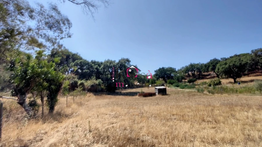 Quinta T2 para Venda em Melides Foto 27