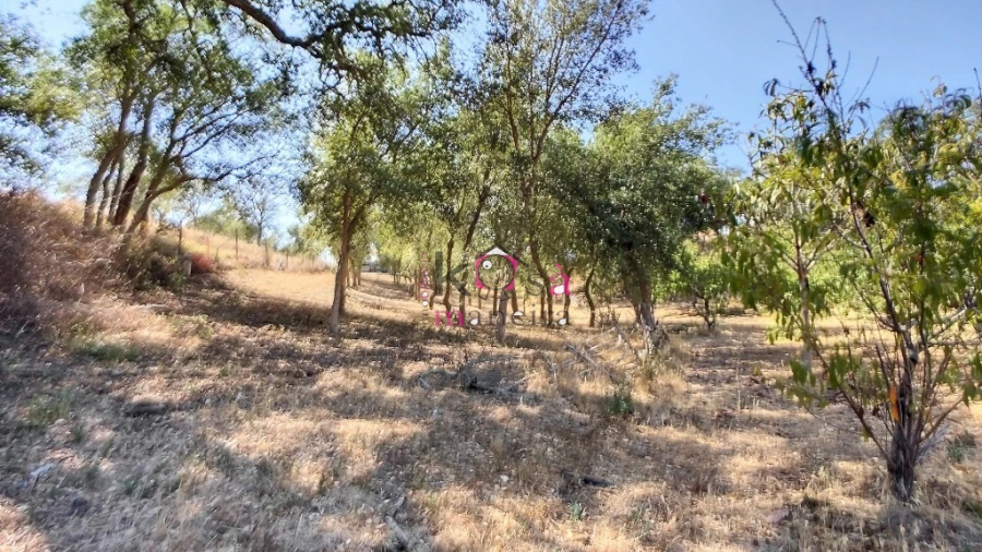 Quinta T2 para Venda em Melides Foto 22