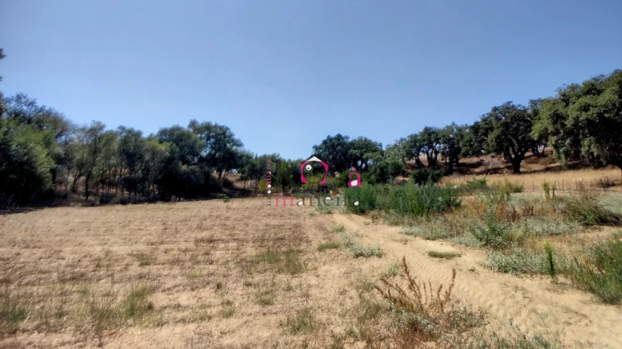 Quinta T2 para Venda em Melides Foto 25