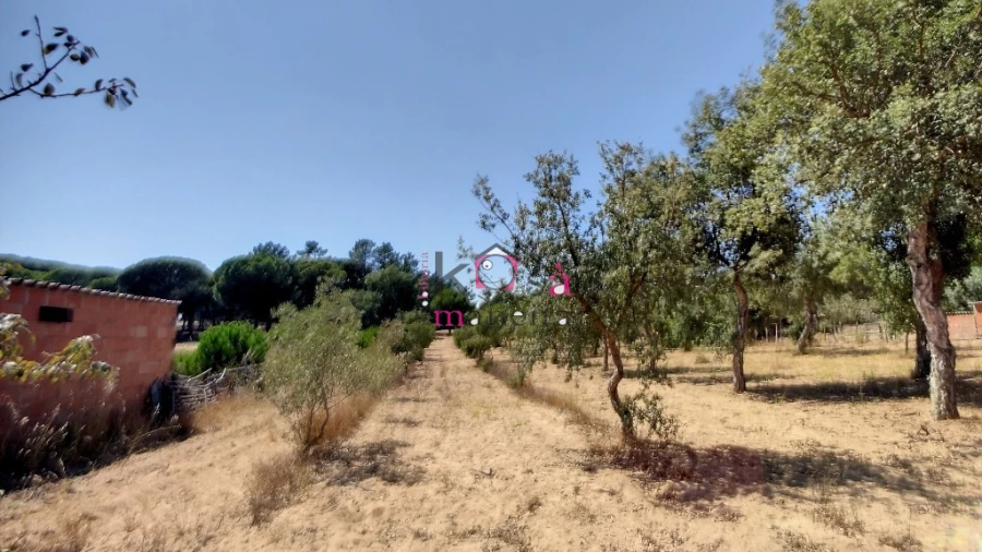 Quinta T2 para Venda em Melides Foto 30