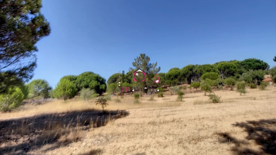 Quinta T2 para Venda em Melides Foto 33