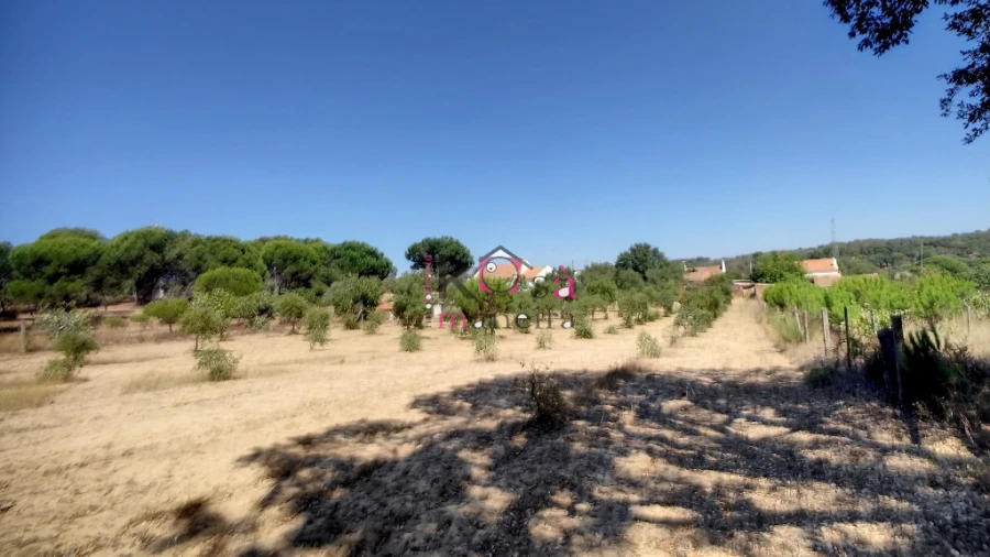 Quinta T2 para Venda em Melides Foto 34