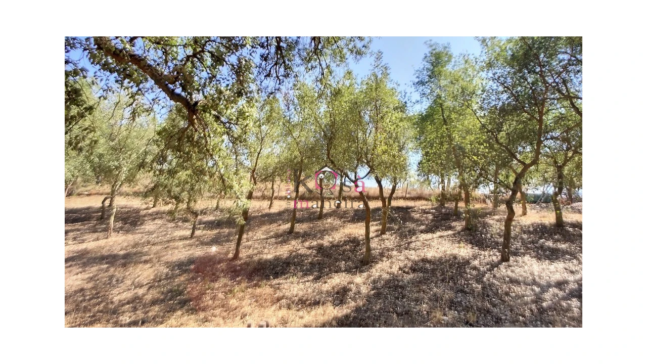 Quinta T2 para Venda em Melides Foto 19