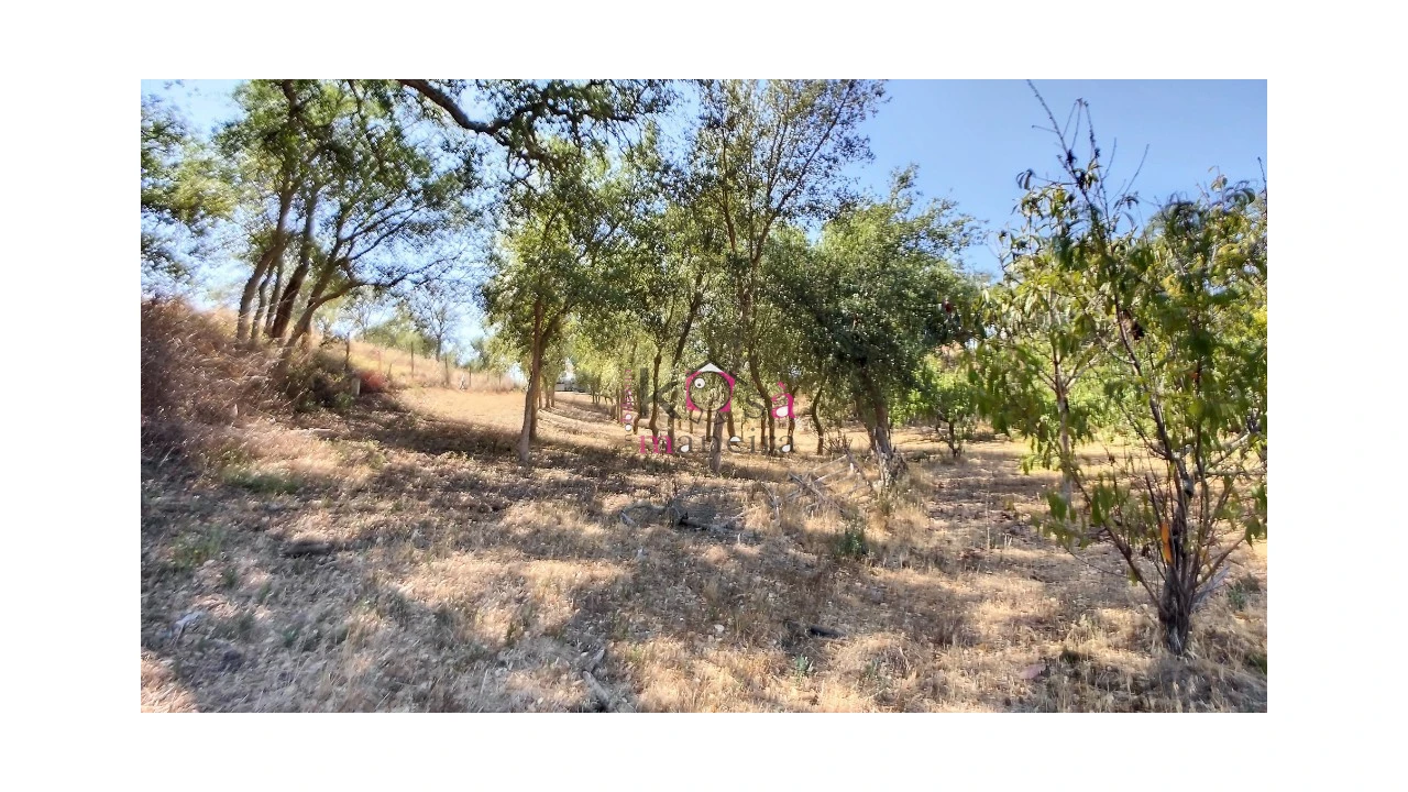 Quinta T2 para Venda em Melides Foto 22