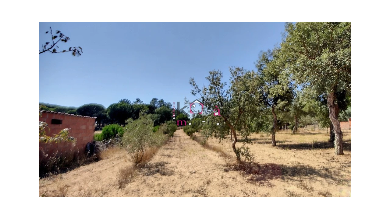 Quinta T2 para Venda em Melides Foto 30