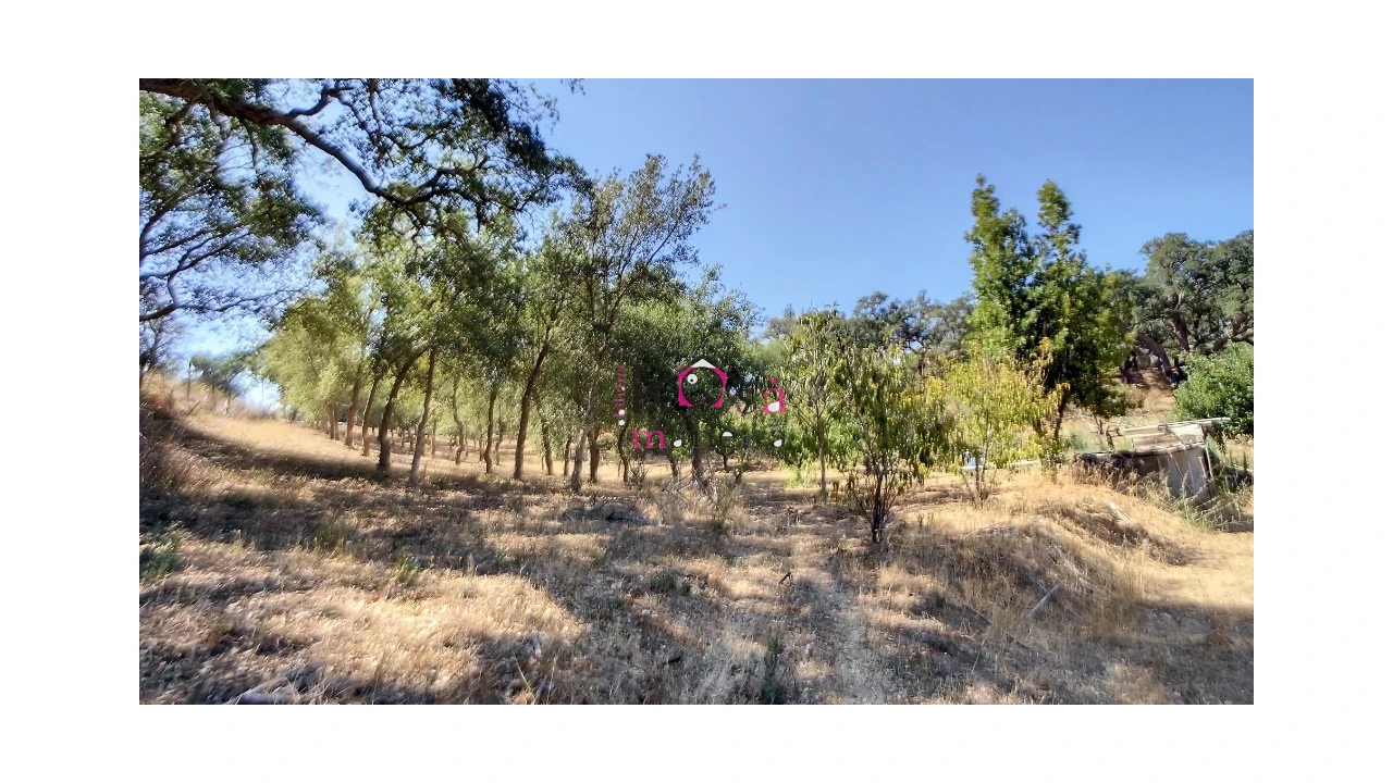 Quinta T2 para Venda em Melides Foto 21