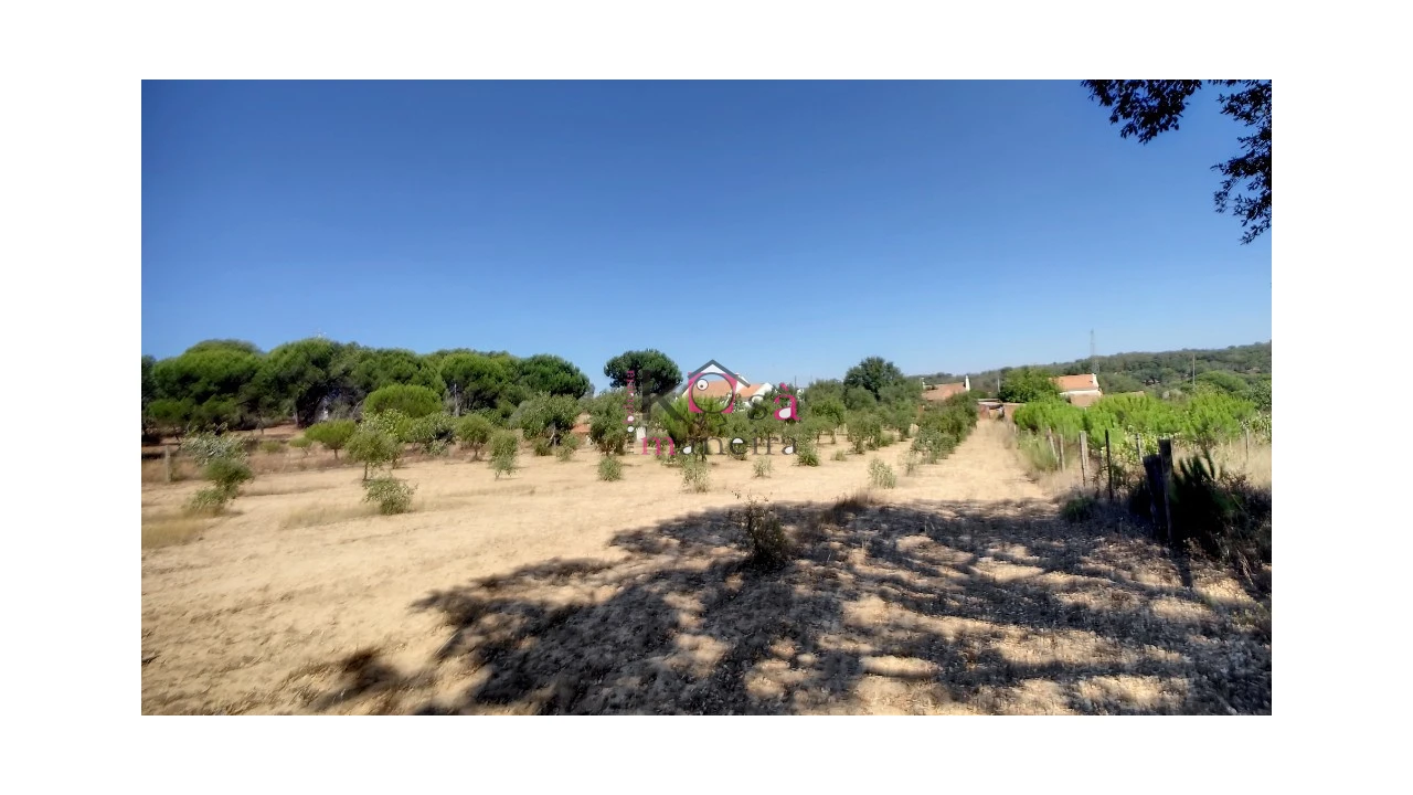 Quinta T2 para Venda em Melides Foto 34