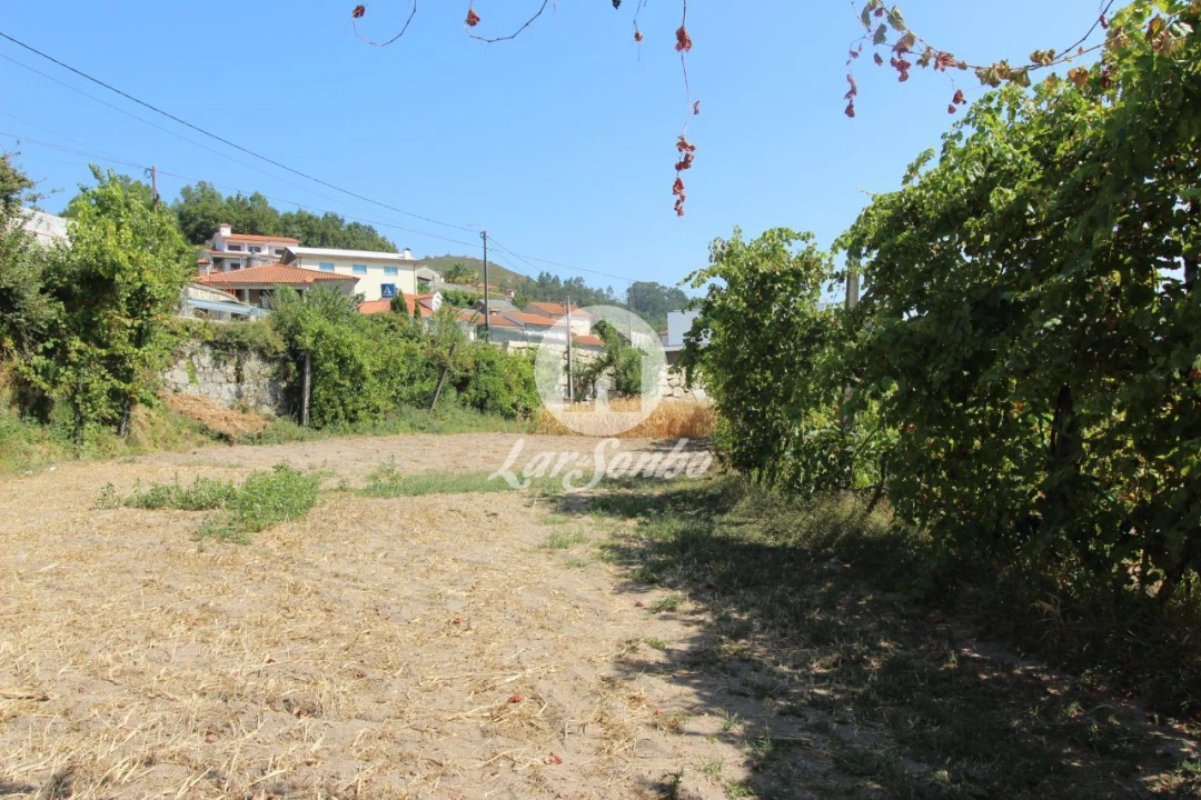 Terreno para Venda em Moreira do Rei e Várzea Cova Foto 4