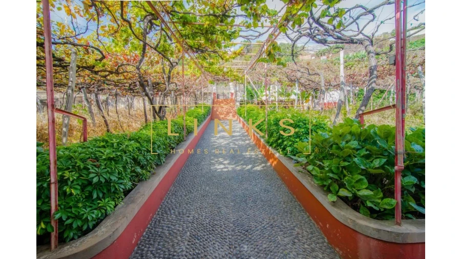 Quinta para Venda em Estreito de Camara de Lobos Foto 8