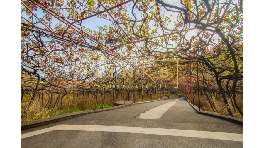 Quinta para Venda em Estreito de Camara de Lobos Foto 20