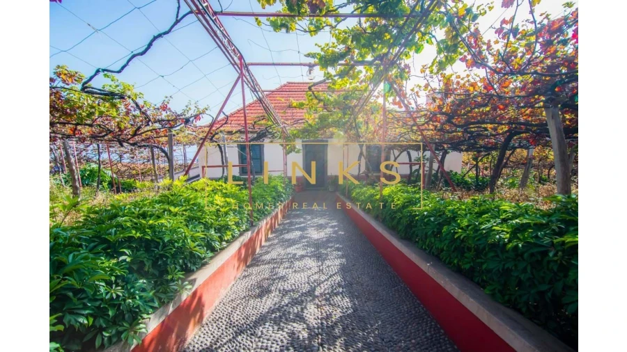 Quinta para Venda em Estreito de Camara de Lobos Foto 9