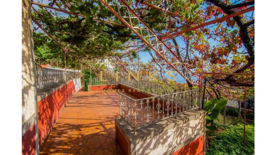 Quinta para Venda em Estreito de Camara de Lobos Foto 10