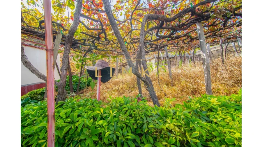 Quinta para Venda em Estreito de Camara de Lobos Foto 11
