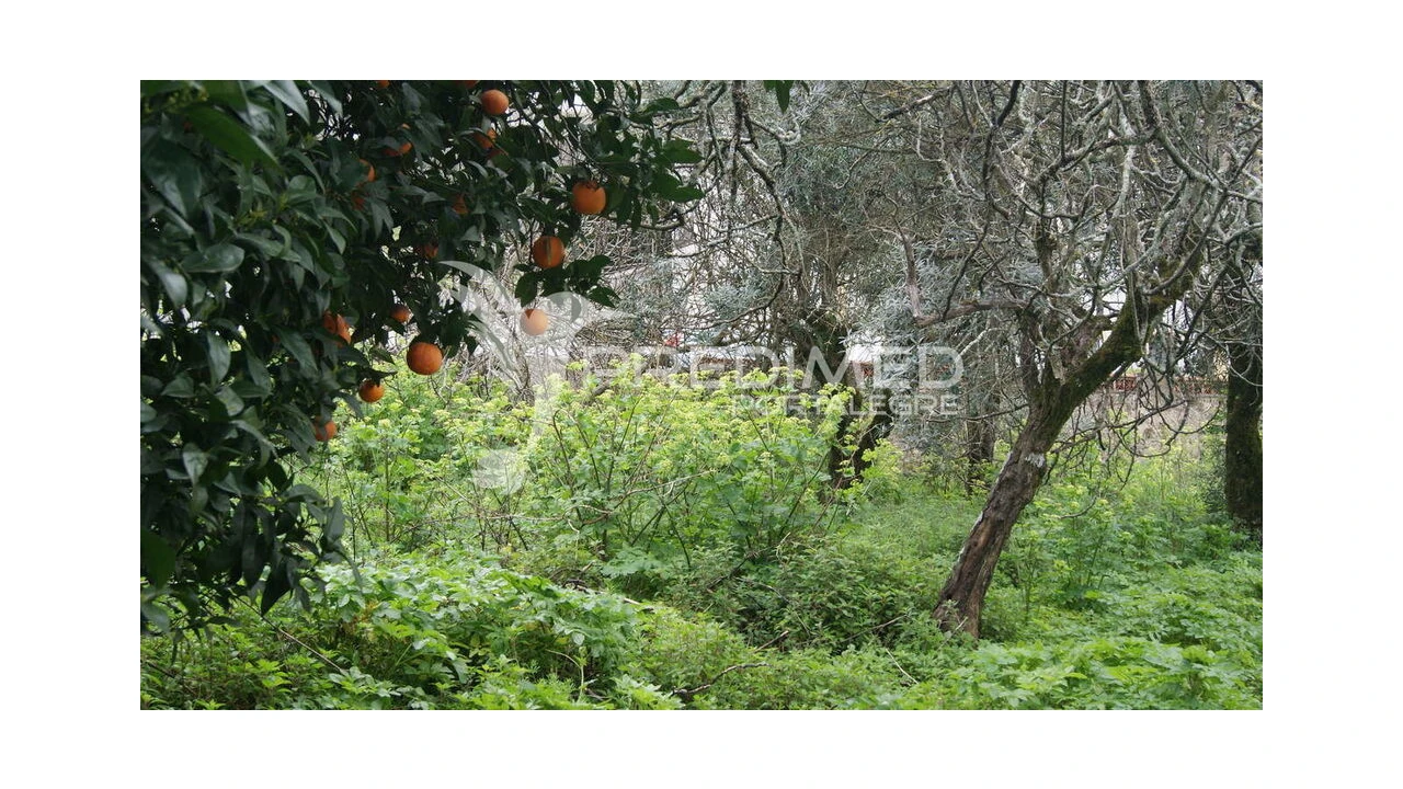 Moradia T6 para Venda em Reguengo e São Julião Foto 10