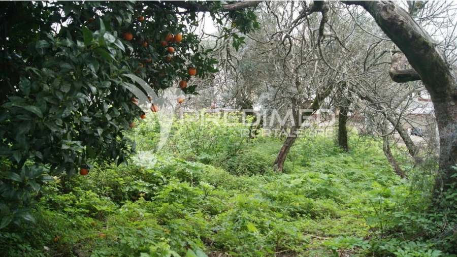 Moradia T6 para Venda em Reguengo e São Julião Foto 9