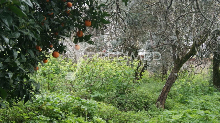 Moradia T6 para Venda em Reguengo e São Julião Foto 10
