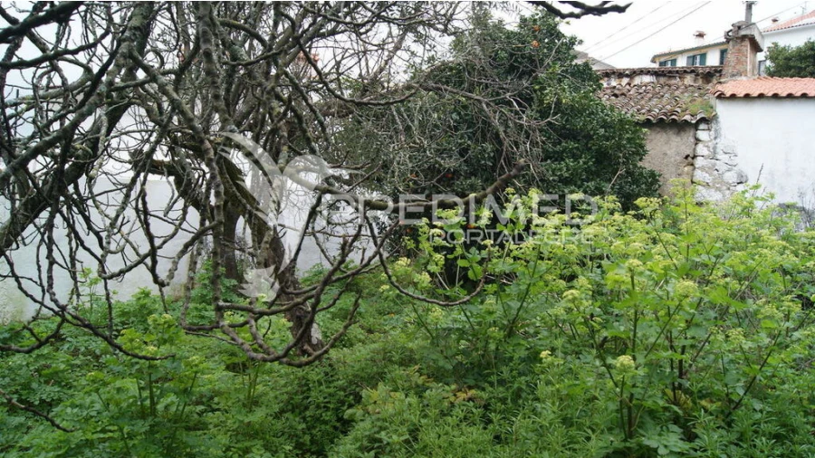 Moradia T6 para Venda em Reguengo e São Julião Foto 12