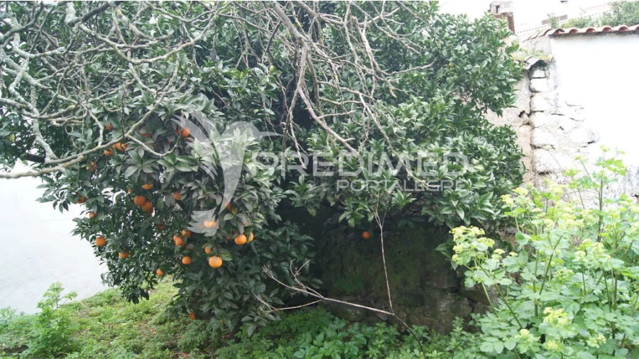 Moradia T6 para Venda em Reguengo e São Julião Foto 11