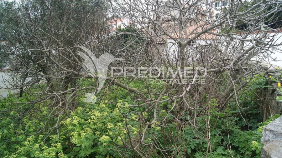 Moradia T6 para Venda em Reguengo e São Julião Foto 5