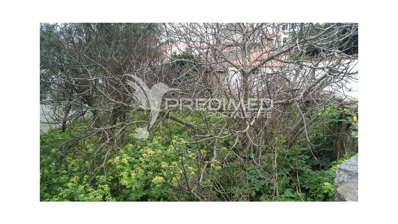 Moradia T6 para Venda em Reguengo e São Julião Foto 5