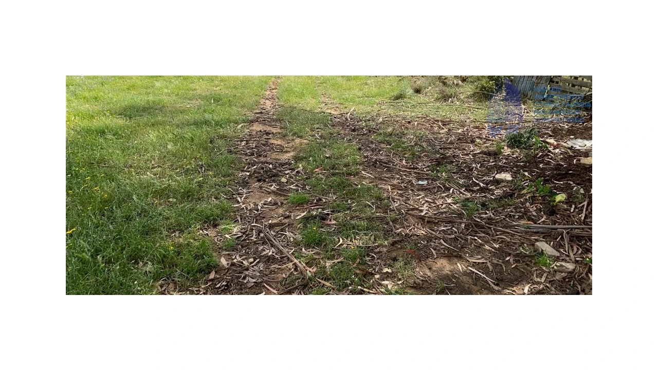 Terreno para Venda em Alter do Chão Foto 1