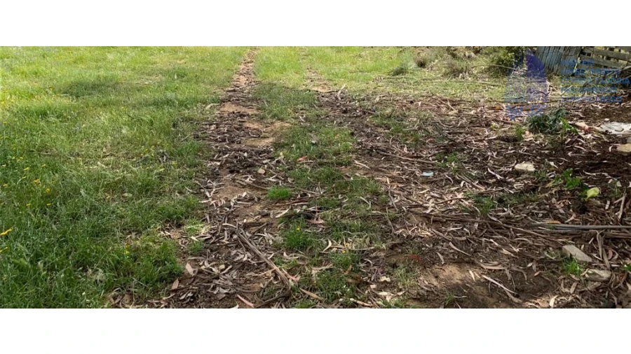 Terreno para Venda em Alter do Chão Foto 1