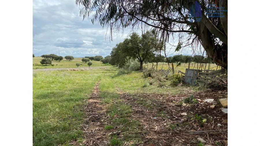 Terreno para Venda em Alter do Chão Foto 2