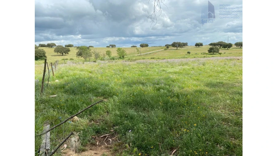 Terreno para Venda em Alter do Chão Foto 3