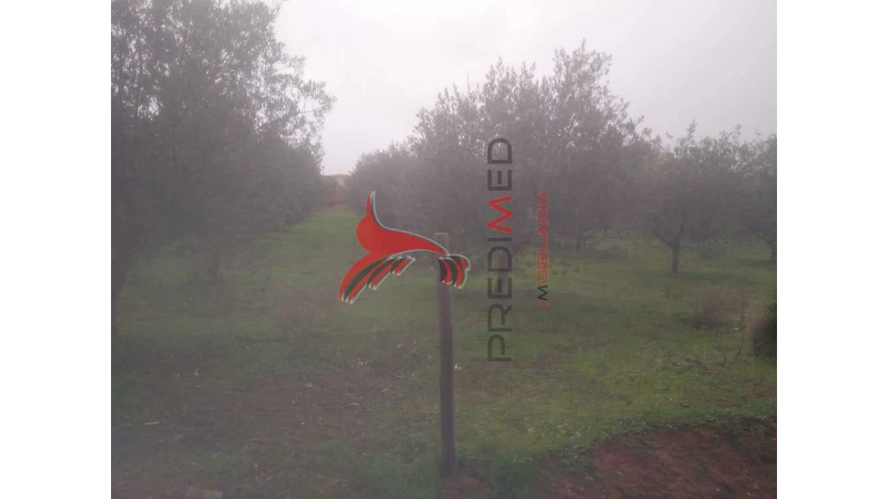 Terreno para Venda em Fontelo Foto 12