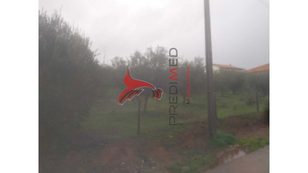 Terreno para Venda em Fontelo Foto 7