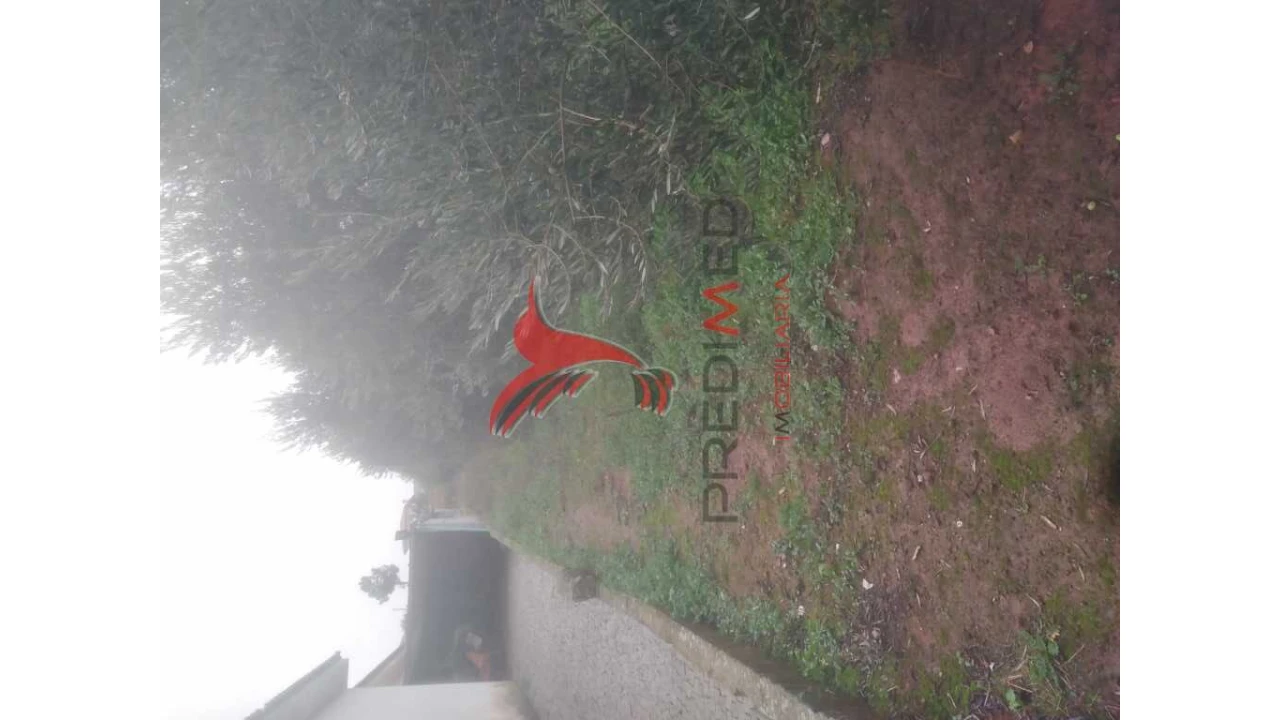 Terreno para Venda em Fontelo Foto 13