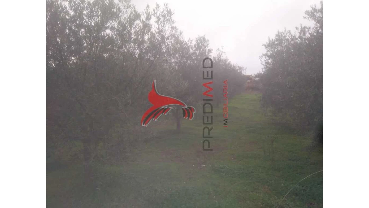 Terreno para Venda em Fontelo Foto 17