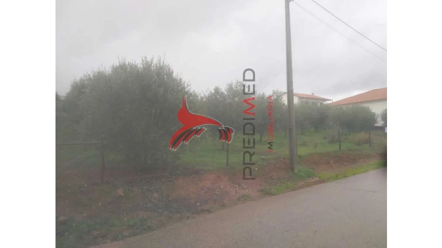 Terreno para Venda em Fontelo Foto 3