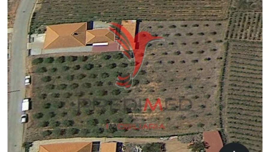 Terreno para Venda em Fontelo Foto 15