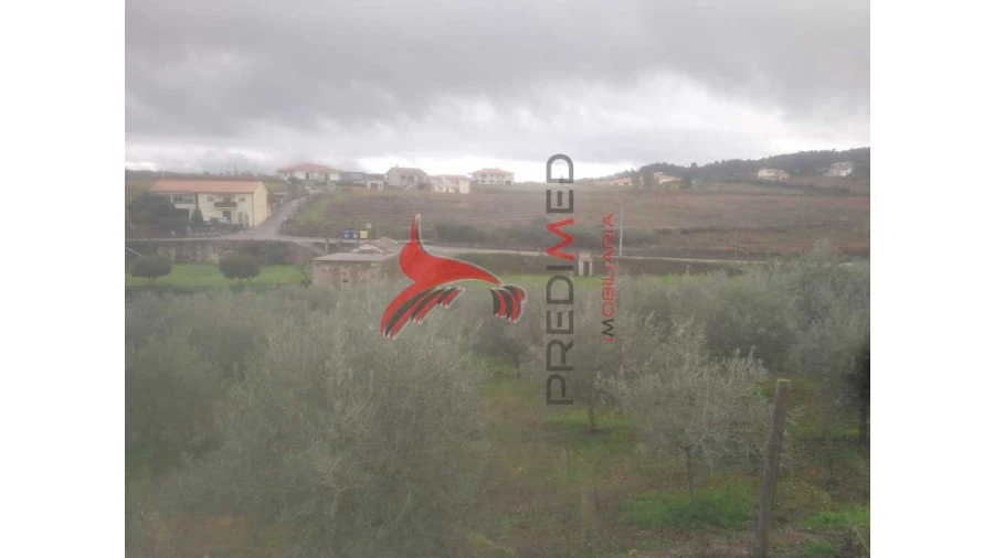 Terreno para Venda em Fontelo Foto 14