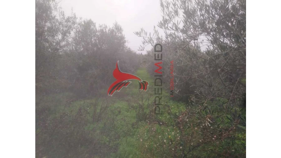 Terreno para Venda em Fontelo Foto 9