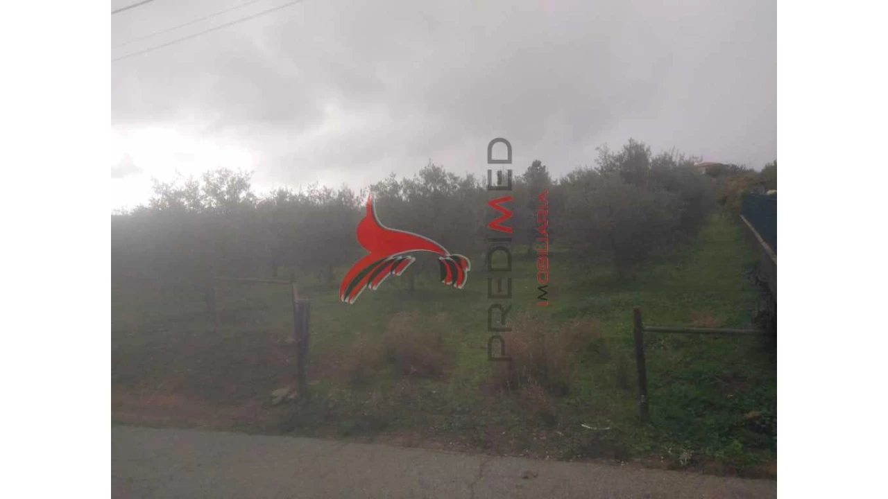 Terreno para Venda em Fontelo Foto 10